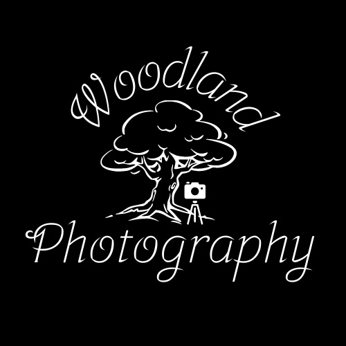 Woodland Photography