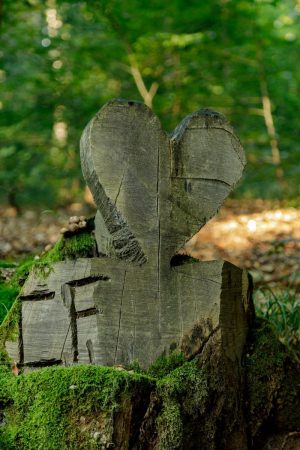Waldfund - Geschnitzes Herz aus altem Baumstamm